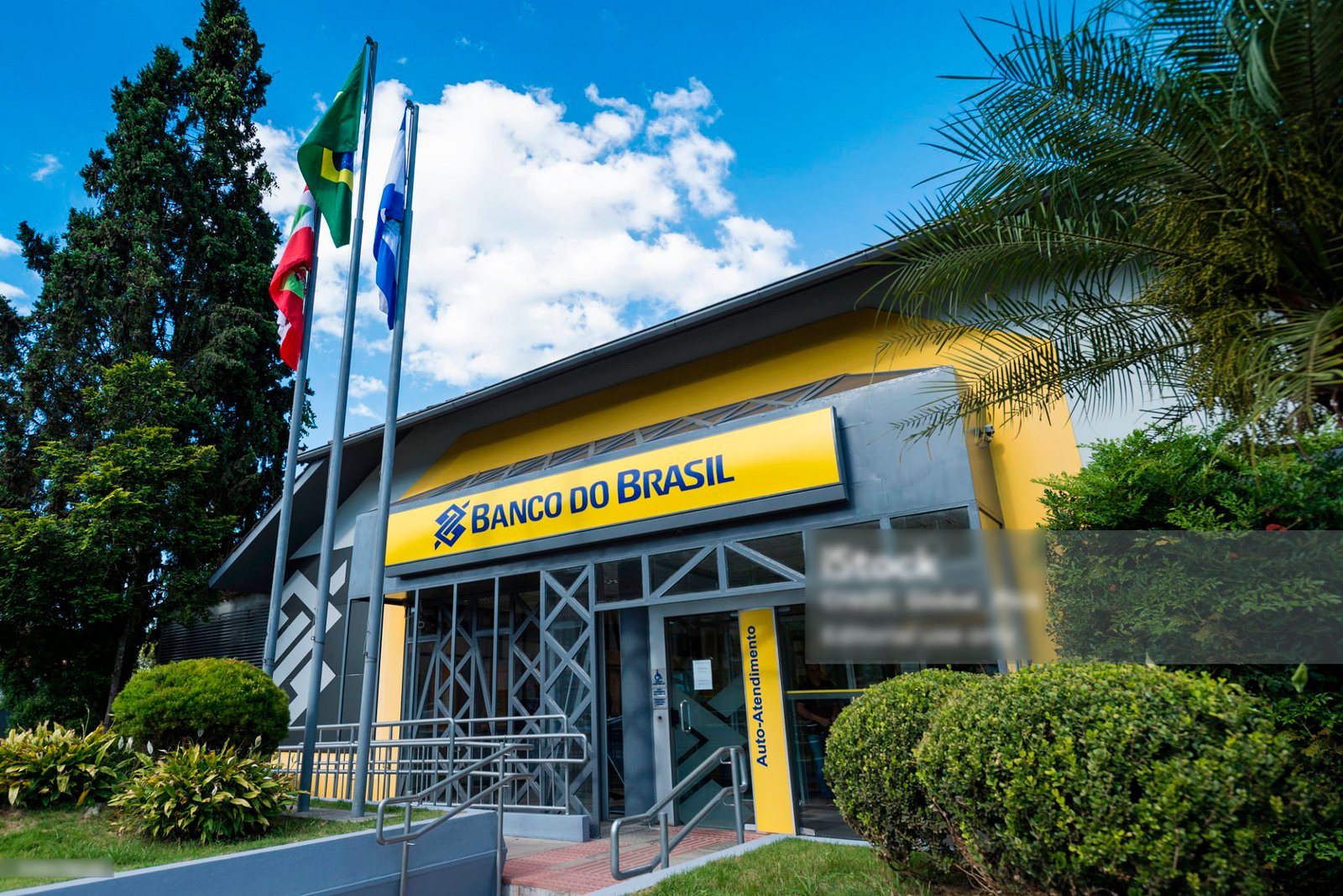 Como Criar uma Conta no Banco do Brasil – Guia Passo a Passo